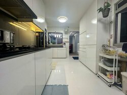 Blk 559 Hougang Street 51 (Hougang), HDB Executive #455824321